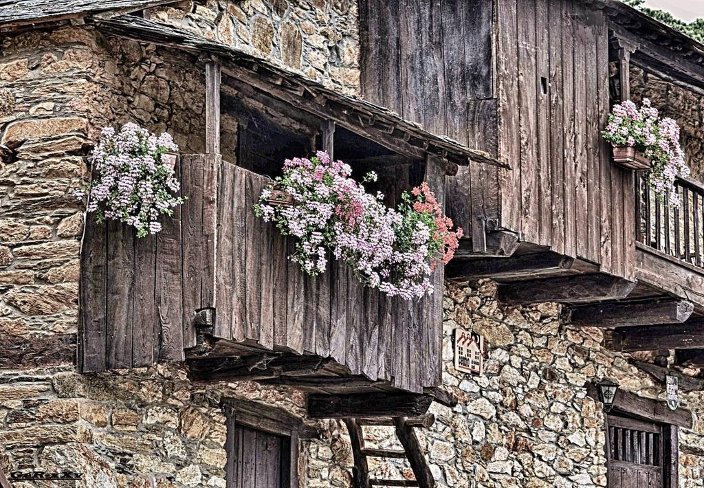 Hotel Rural El Lagar De Las Medulas Orellán المظهر الخارجي الصورة